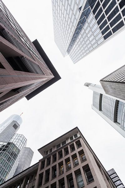 Skyscrapers in the banking district in Frankfurt by Werner Dieterich