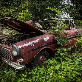 Verlorenes Auto von Steven Poulisse