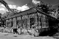 Orto botanico, Palermo