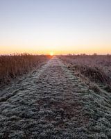 Red sunrise over this South Holland dike