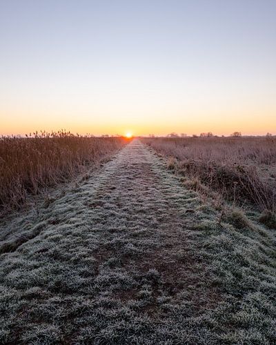Rode zonsopkomst boven deze Zuid-Hollandse dijk