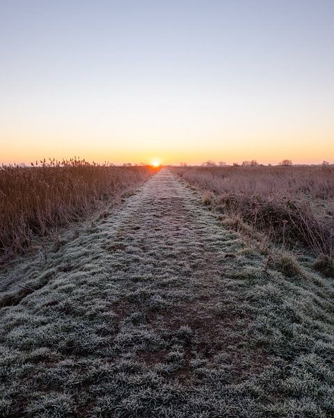Rode zonsopkomst boven deze Zuid-Hollandse dijk van Max van Gils