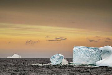 Les icebergs autour de la Géorgie du Sud sur Ron van der Stappen