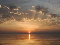 Morning gives gold in the mouth