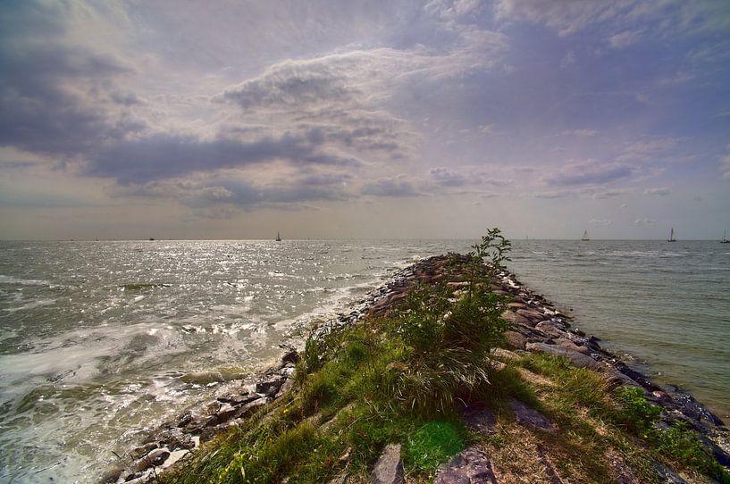 Endless vastness by the sea by Ralf Hoffmann