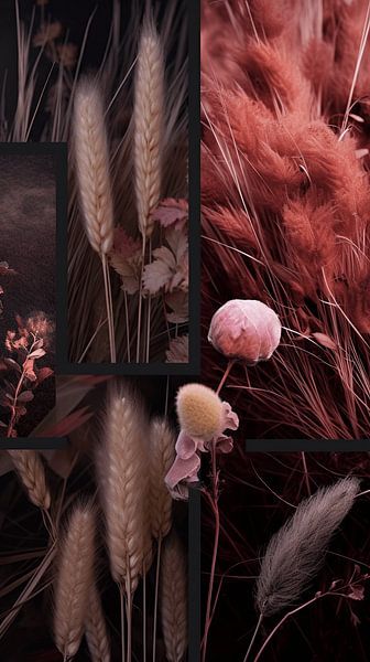 Silver Sprites and Sour Rose Plumes | The Field in Full Glory by Karina Brouwer