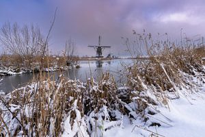 Snow shower