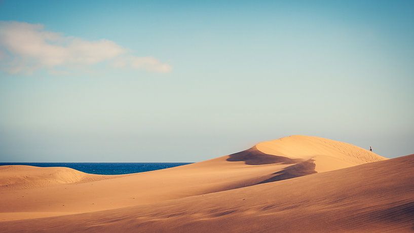 Gran Canaria - Dunas de Maspalomas van Alexander Voss