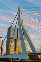 Erasmusbrücke mit Rotterdam und schönem Himmel