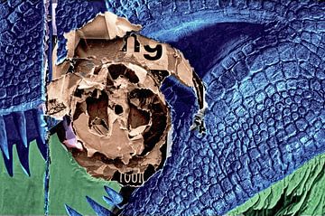 currish by artpictures.de