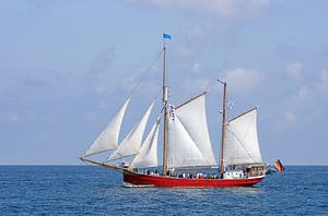 Segellogger Ryvar