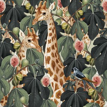 4 Giraffes sur Marja van den Hurk
