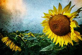 Dramatische Sonnenblume von ARTBERGWERK