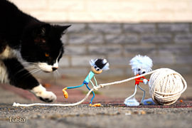 Fubby’s are playing with a ball of string and Poes Ping. by Sailographic Paula