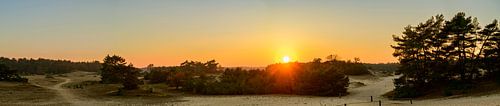 Autumn sunset landscape panorama at the Veluwe sand dunes by Sjoerd van der Wal Photography