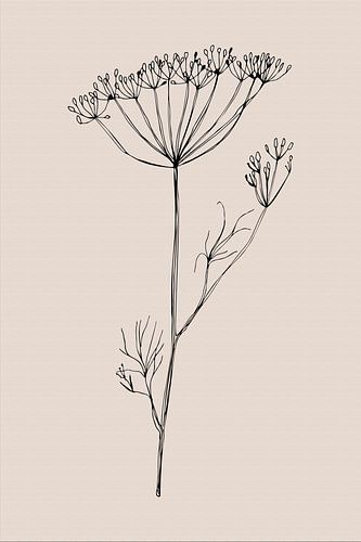 Japandi. Boho botanische plant op beige nr. 2