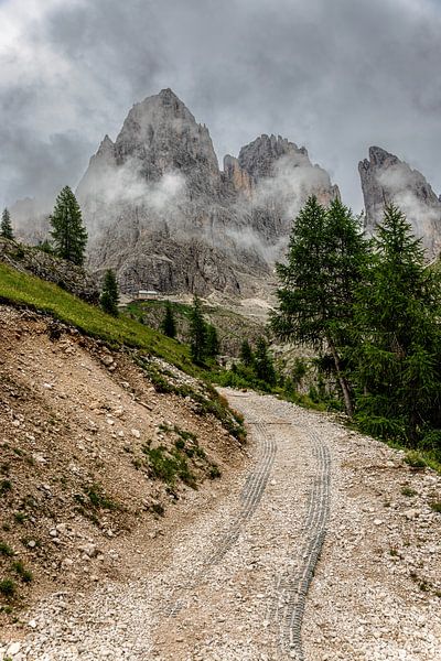 Sassolungo op de Alpe di Siusi van Dirk Rüter