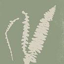 Abstract botanisch. Varens in wit op groen. van Dina Dankers thumbnail