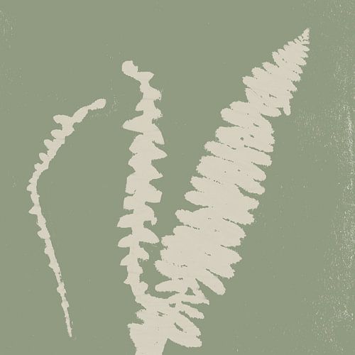 Abstract botanisch. Varens in wit op groen.