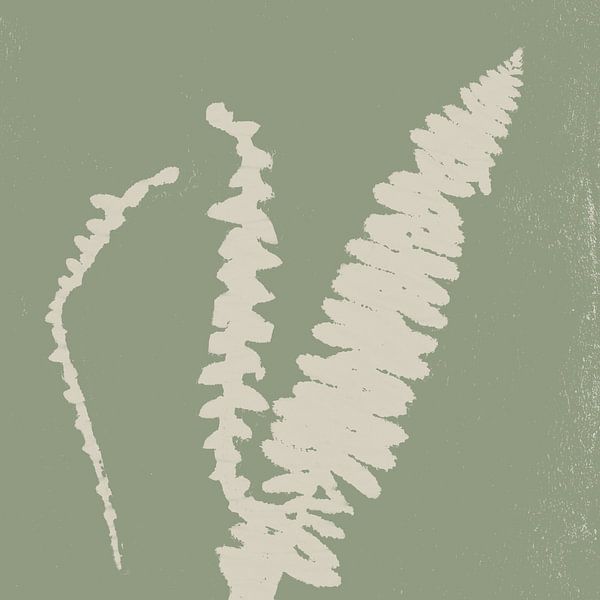 Abstract botanisch. Varens in wit op groen. van Dina Dankers