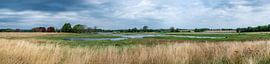 Marsh and agriculture in Fakse, Denmark by Werner Lerooy