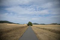 De weg naar de toekomst.
