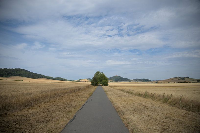The way forward. by Zuidfotograaf