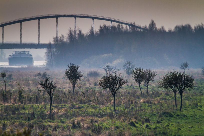 Rammegors Tholen van Koen Mol
