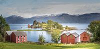 Noorwegen, house with a view van Lex Scholten thumbnail