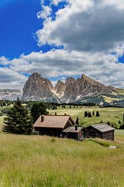 Alpe di Siusi, Dolomites by Dirk Rüter