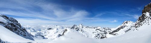 Der Blick auf die Schneeglocke