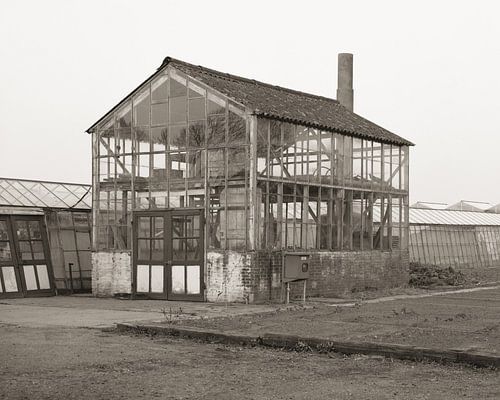 Verlaten kas in Dordrecht, Dubbeldam