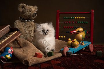 No Competition, chaton parmi des jouets anciens sur Elles Rijsdijk