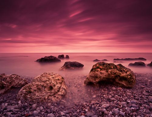 The way to happiness