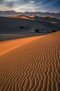 De wind van constante verandering van Loris Photography