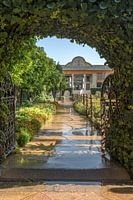 Iran: Qavam House (Shiraz)