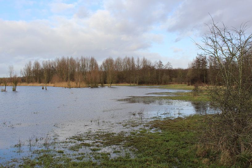 het stille water 2 von jessica beek