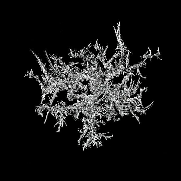 art with ice by Klaartje Majoor