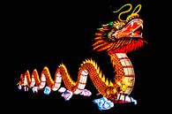 China dragon van Frames by Frank thumbnail