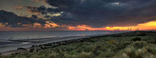 Zonsopgang Zeebrugge