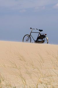 Trotse fiets