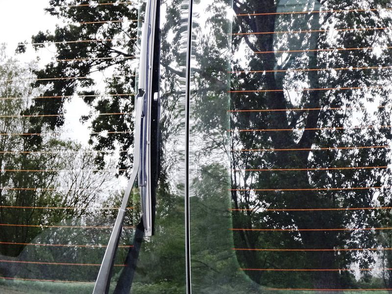 Tree Magic 27 von MoArt (Maurice Heuts)