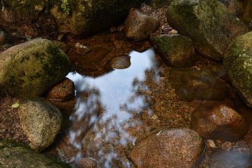 Reflectie in water van Cor Brugman