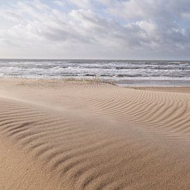 Meer und Sand von Arjan van Duijvenboden