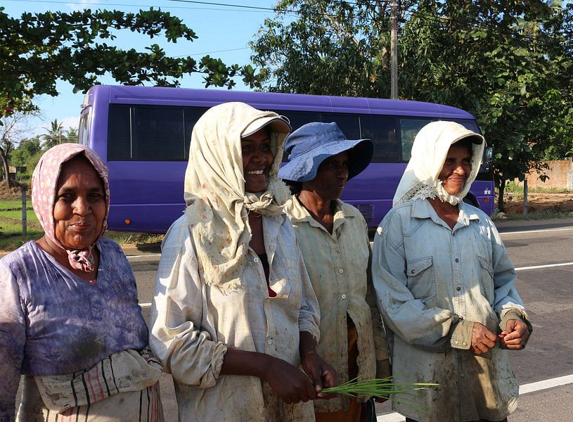 femmes de riz par Wilma Hage