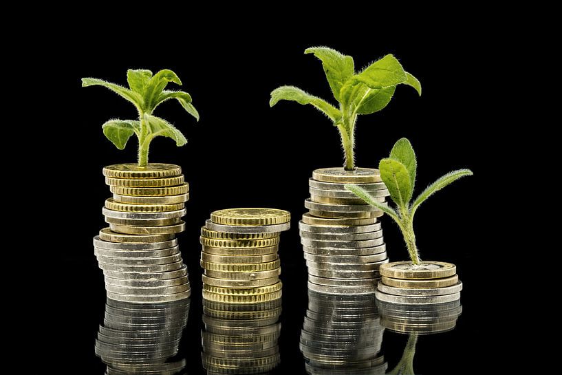 Plants grow out of stacked money coins against a black background with reflection by Hans-Jürgen Janda