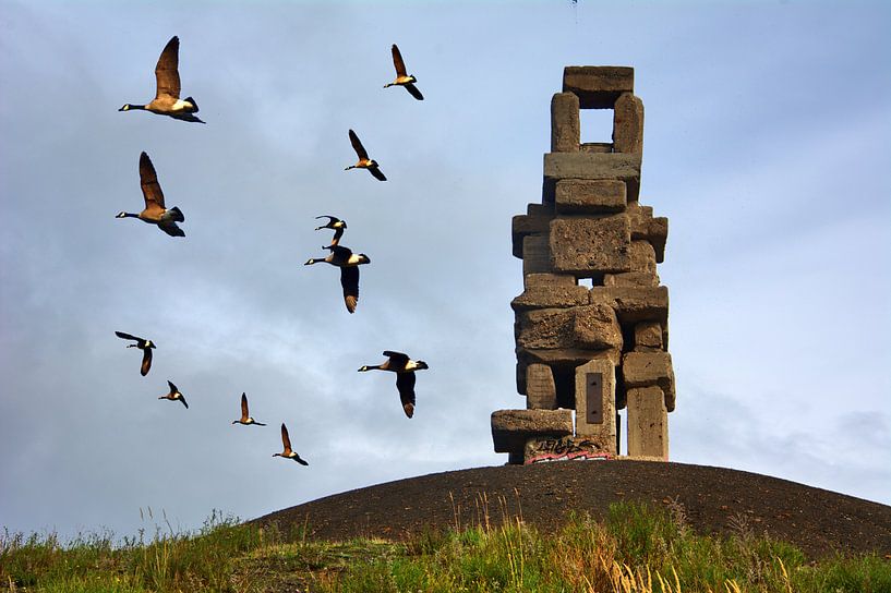 Escalier vers le ciel avec les bernaches du Canada par Edgar Schermaul