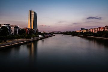 ECB in Frankfurt by Werner Lerooy