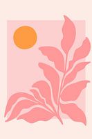 Zonnige Roze Tuin