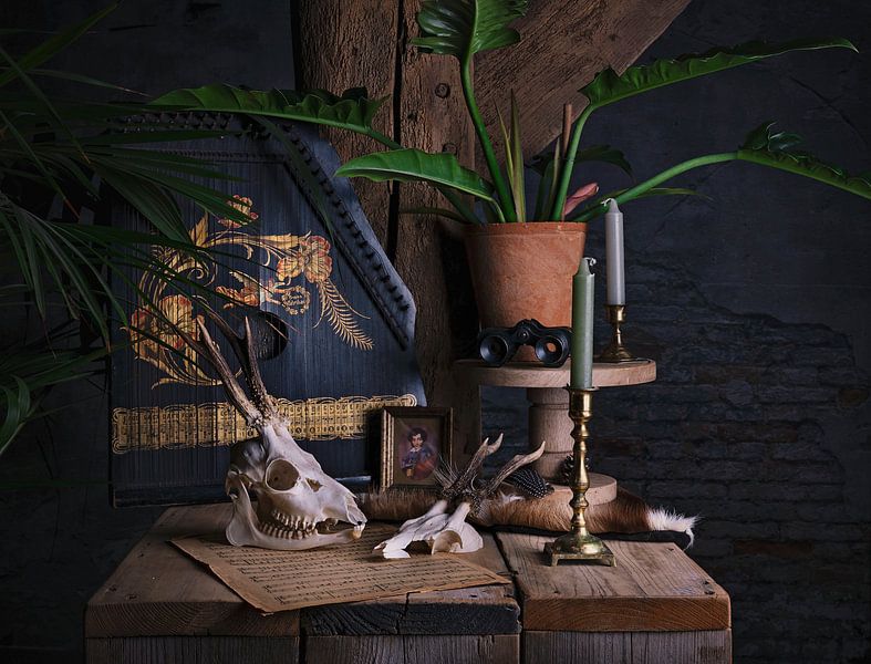 Still life with zither and skulls by Anouschka Hendriks